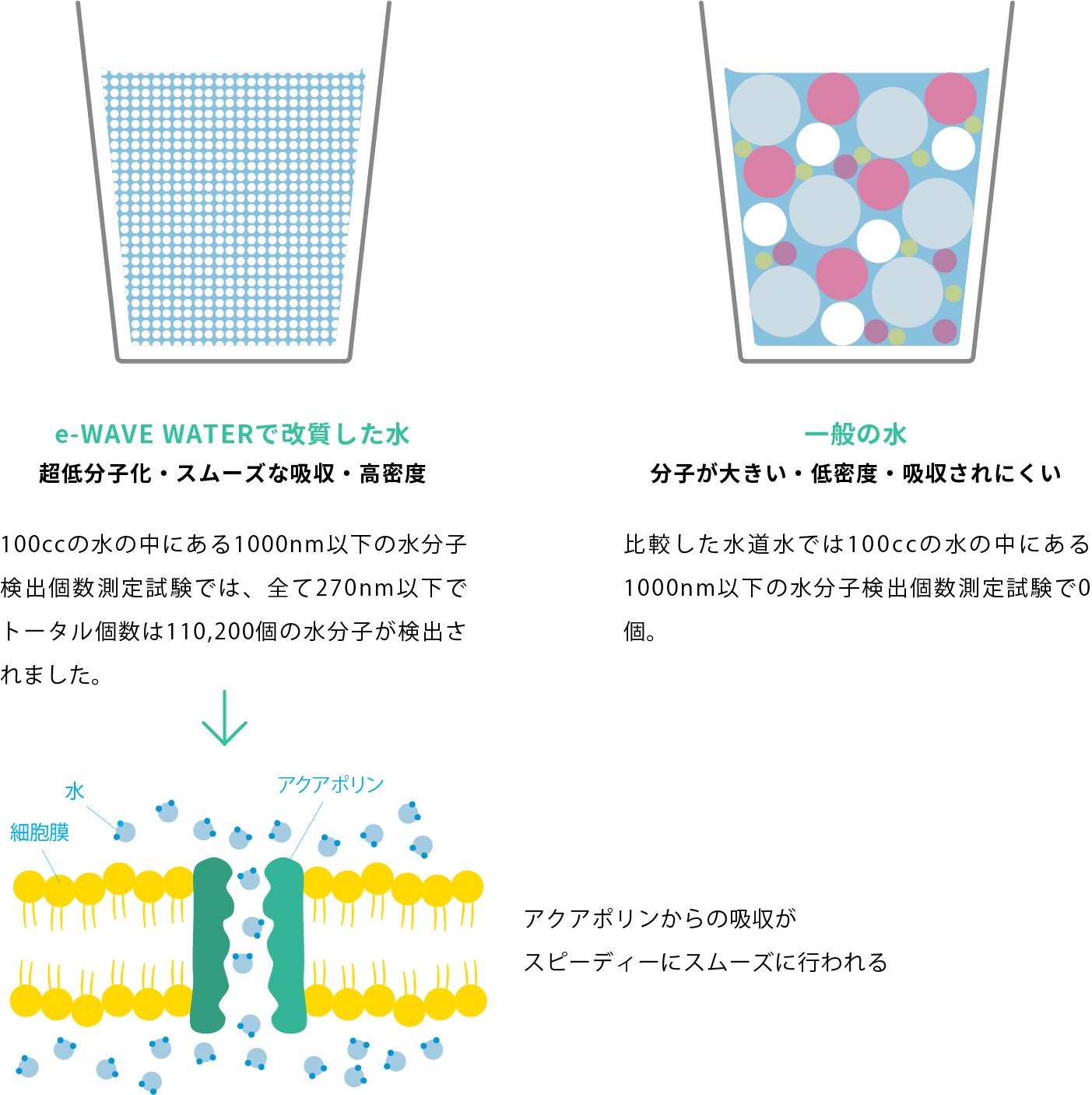 e-WAVE WATERで改質した水