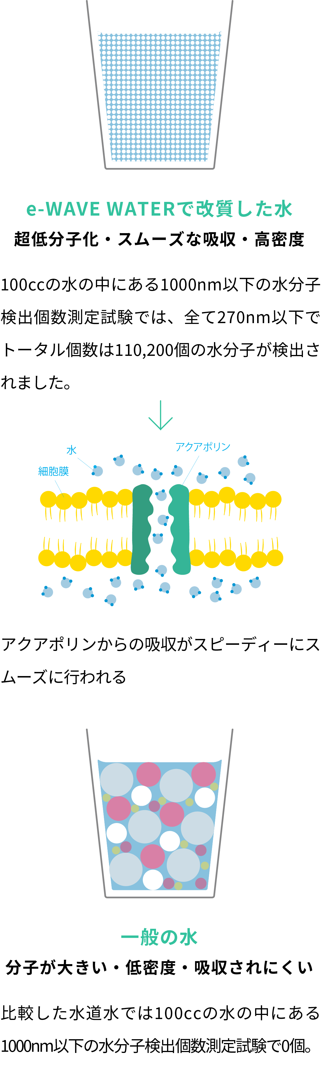 e-WAVE WATERで改質した水