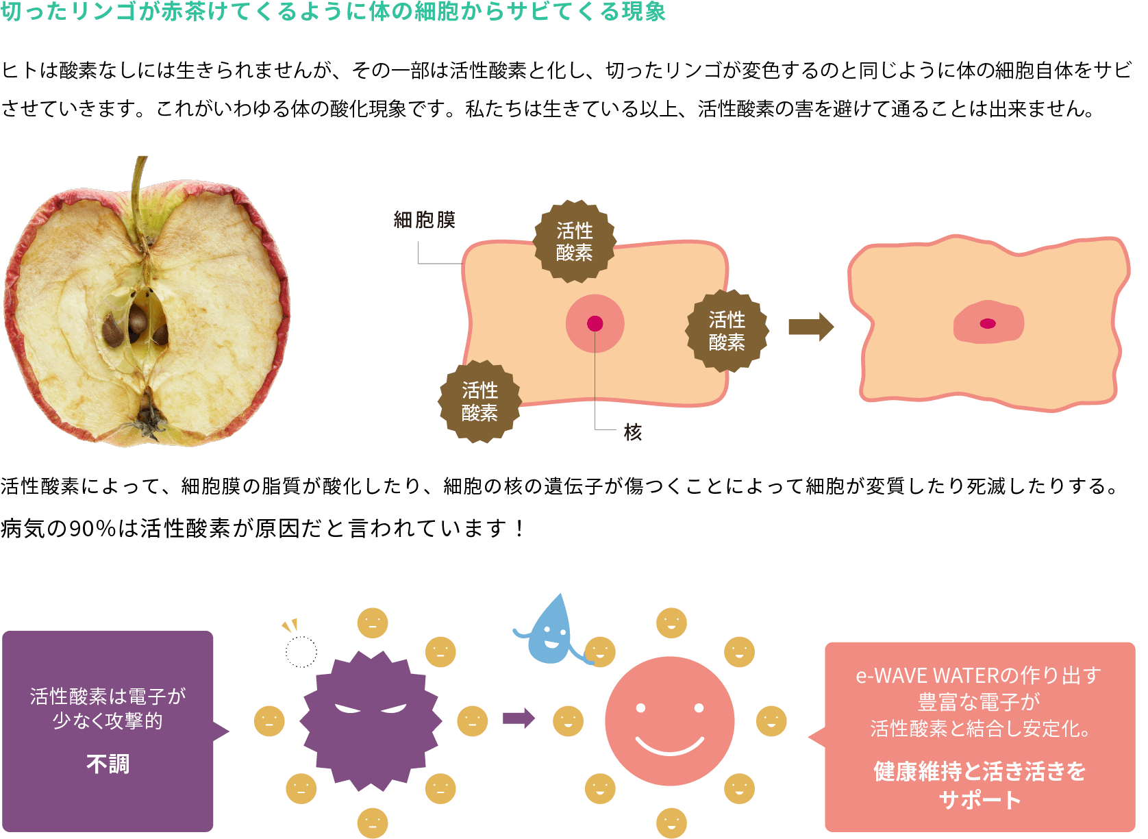 活性酸素除去試験データ