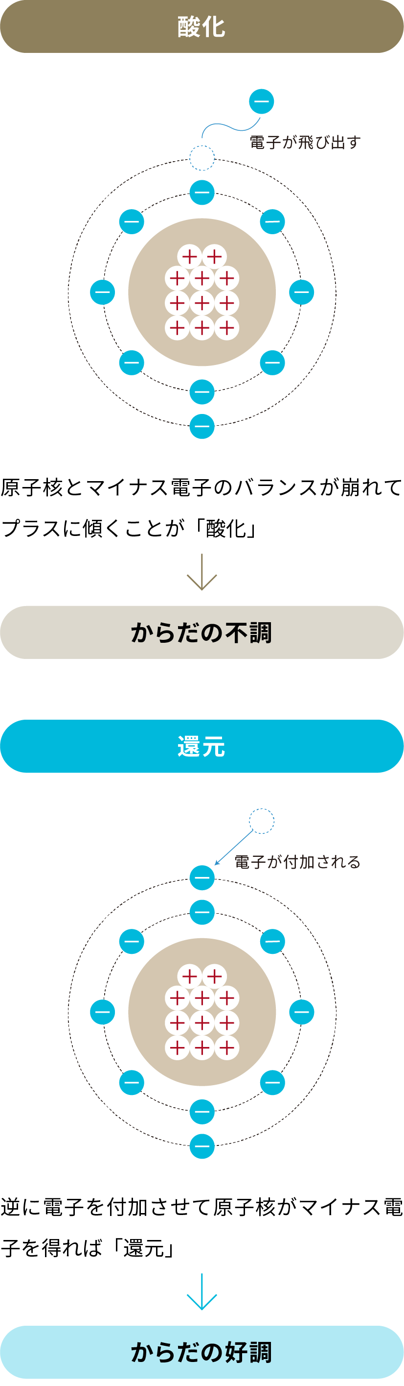 水質改質機器